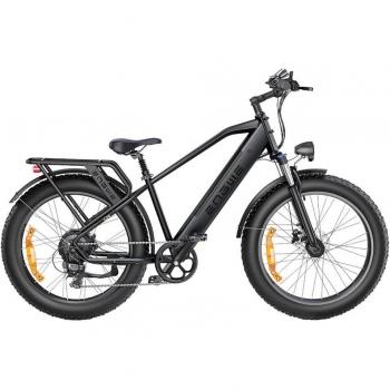 Engwe E26 48V 16AH – Bici a Motore 250W in Verde