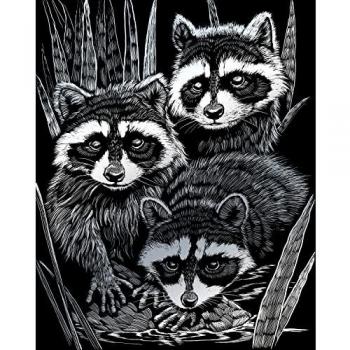 Magni Royal & Langnickel: Kratzbild Waschbär – Silber