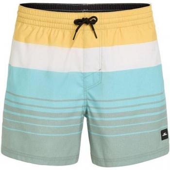 O'Neill Bermuda da Spiaggia Mix & Match Cali Print 15 Verde