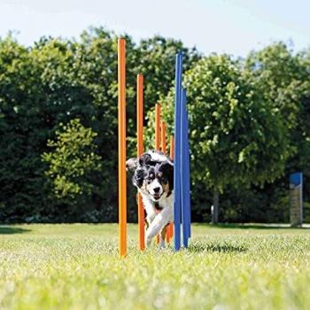 Trixie Dog attività Slalom Agility 115 cm