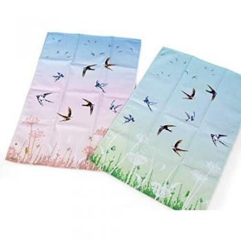 Lot de 2 torchons Brume Estivale Rayée