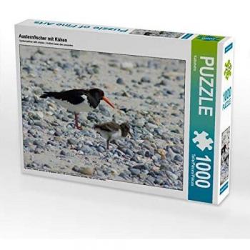 CALVENDO Puzzle Austernfischer mit Küken 1000 Teile Bild von Kattobello