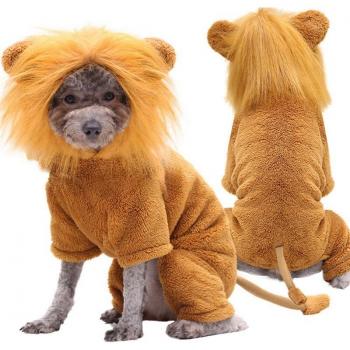 Huisdier Kostuum voor Halloween Leeuw