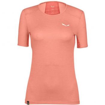 Camiseta Manga Corta Salewa Puez Graphic 2 Dryton