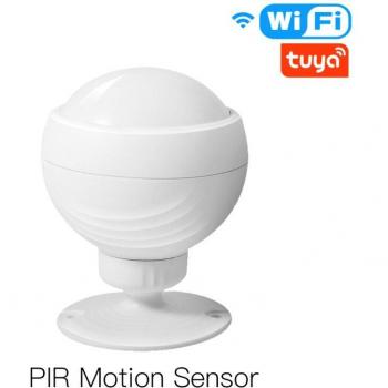 Sensor de Alarma Infrarroja con Alexa