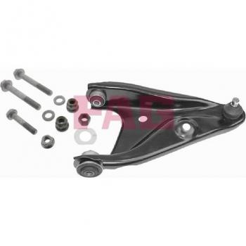 FAG Suspension Control Arm 821 0556 10
