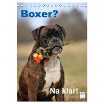 Boxer? Na klar! (Tischkalender 2024 DIN A5 hoch) CALVENDO Monatskalender