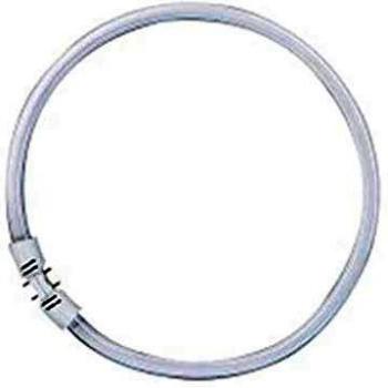 FC 55 W Osram 865 Daylight 2GX13 Lampa Fluorescente Circolare