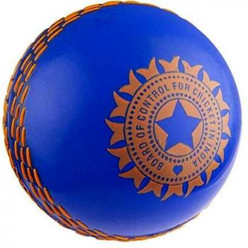 ICC 2019 Cricket World Cup Gray‑Nicolls Velocity Soft Ball – India