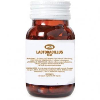Dr Taffi Lactobacillus Plus 50 cps