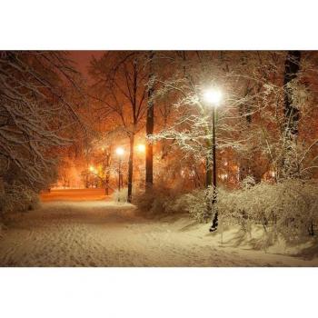 PaperMoon Vlies-Fototapete „Winterszene Park“