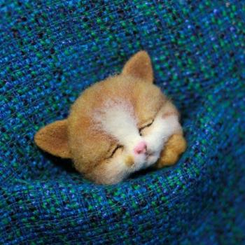 Jiwuo Wool Felt Animal Brooch Material Package