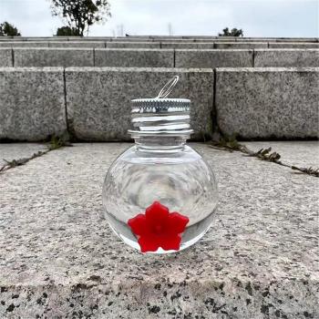 Mini Hummingbird Feeding Tool