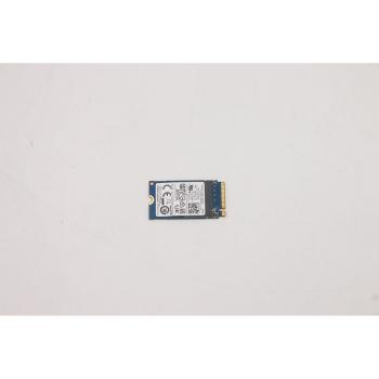 Lenovo 256GB M.2 PCIe Flash Drive