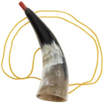 Bifurqué Norvégien Northix Jr