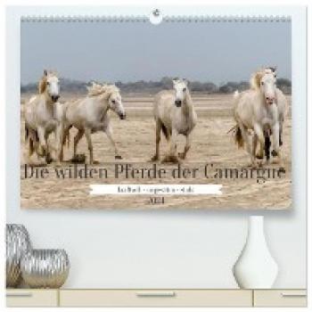 Premium Wandkalender 2024 Die wilden Pferde der Camargue