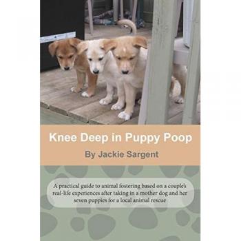 Knee Deep in Puppy Poop