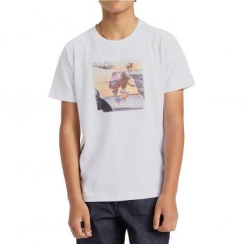 Camiseta DC Shoes Statewide para niños