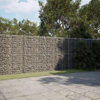 Cesta de Hierro Galvanizado Avimac 1000x100x200 cm