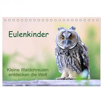 Eulenkinder Tischkalender 2025