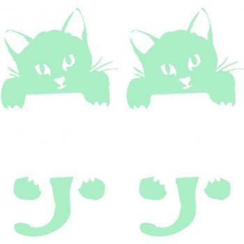 Fluorescent Black Cat Switch Stickers