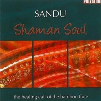 Shaman Soul The Healing Call