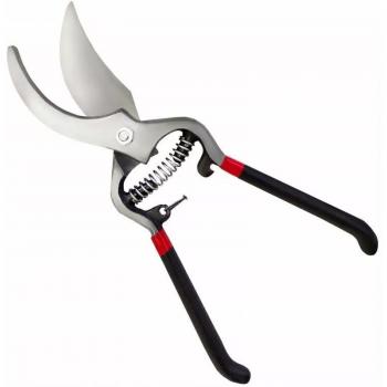 Manutenzione arbusti 20,5 cm
