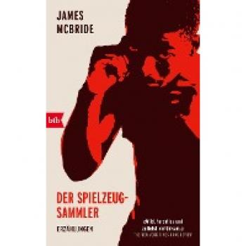James McBride Der Spielzeug-Sammler: Erzählungen
