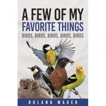 Favorite Things: Birds, Birds, Birds, Birds