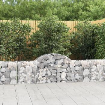 VidaXL Gabionen mit Bogenform 40 Stk. 200x30x60/80 cm Verzinktes Eisen