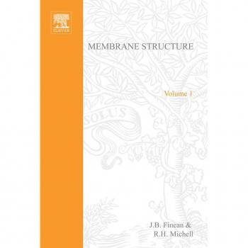 Vitalsource Technologies, Inc. Membrane Structure