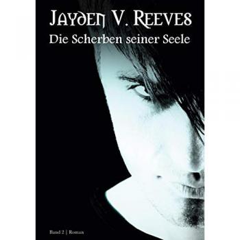 Die Scherben seiner Seele: Band 2