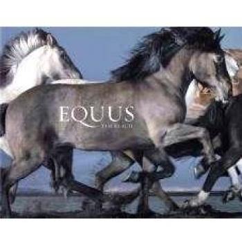 Equus by Tim Flach