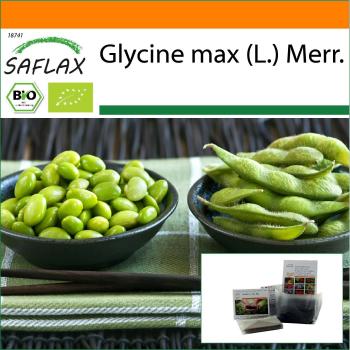 Bio-GarteninBag Edamame (Glycine) – 8 Samen mit Substrat