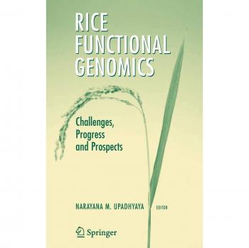 Rice Functional Genomics: Challenges, Progress and Prospects