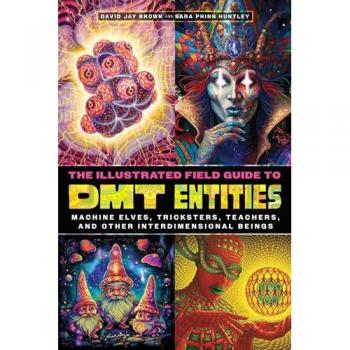 The Illustrated Field Guide to DMT Entities : Machine Elves, Tricksters, Teachers, and Other Interdimensional Beings