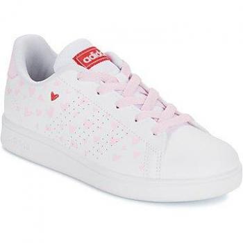 Basket Pro K