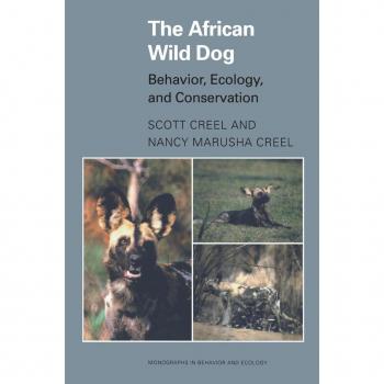The African Wild Dog