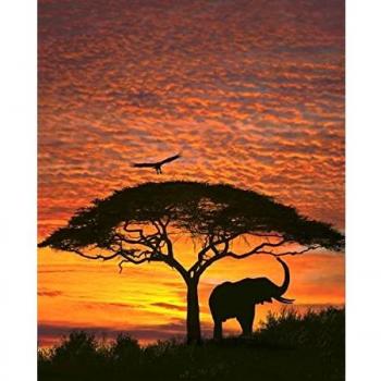 Fototapete „Afrika bei Nacht“ – Vier Teile