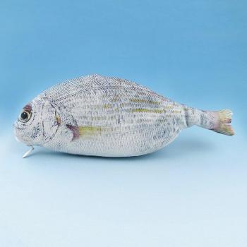 Kawaii Fish Design Pencil Case