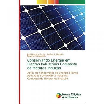 Conservando Energia em Plantas Industriais Composta de Motores Indução: Ações de Conservação de Energia Elétrica Aplicadas a Uma Planta Industrial Composta de Motores de Indução