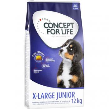 12 kg X-Large Junior Concept for Life croquettes pour chien
