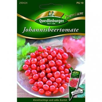 Quedlinburger Saatgut Rot‑Johannisbeertomate – 290424