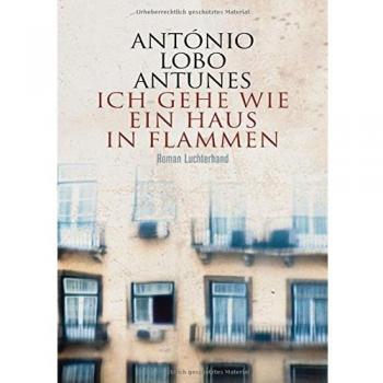 António Lobo Antunes Ich Gehe Wie Ein Haus In Flammen: Roman