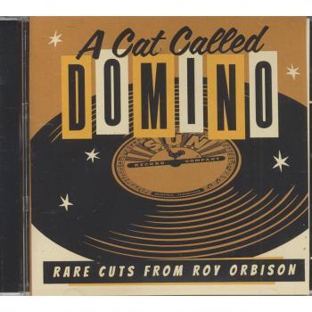 Domino, le chat