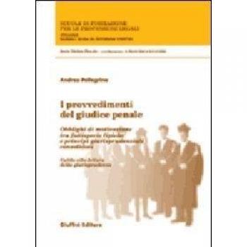 I provvedimenti del giudice penale. Obblighi di motivazione tra fattispecie tipiche e principi giurisprudenziali consolidati. Guida alla lettura della giurisprudenza