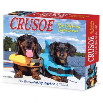 Crusoe The Dachshund Desk Calendar 2025