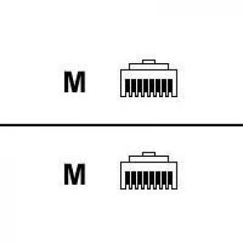 Belkin Cat6