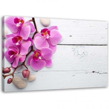 Feeby Kunstleinwand, rosa Orchidee und Knospen 60x40