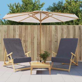 VidaXL 2 pcs Beach Towels Anthracite 60x135 cm 400 GSM